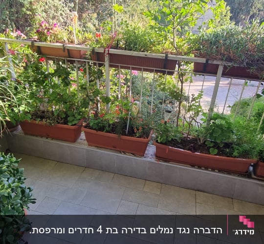 מרפסת עם עציצים וצמחים ירוקים